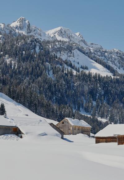 Schönenbach im Winter