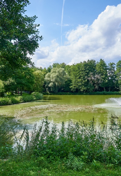 Kursee
