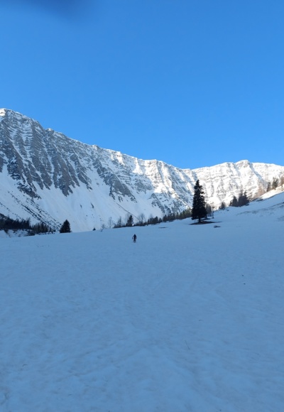 Die Almböden nach der Gartneralm
