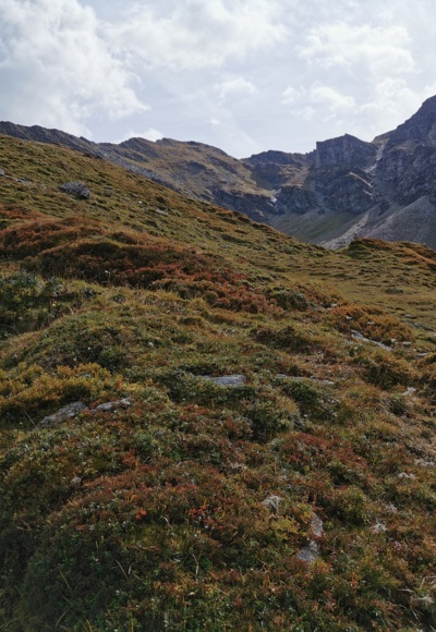 BHG - Klim naar de Hagenerhütte