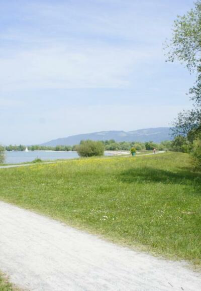 Grüner Damm