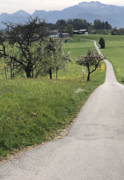 Blick von Mupferting in die Chiemgauer Berge