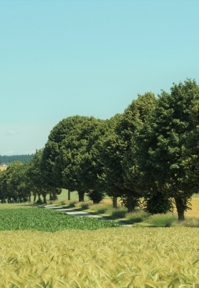 Zwischen Neufahrn und Kranzberg
