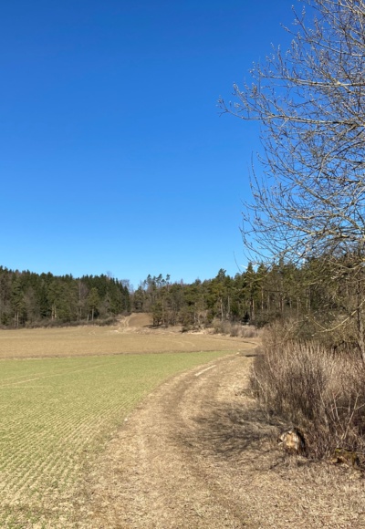 Richtung Mirsdorfer Kuppe