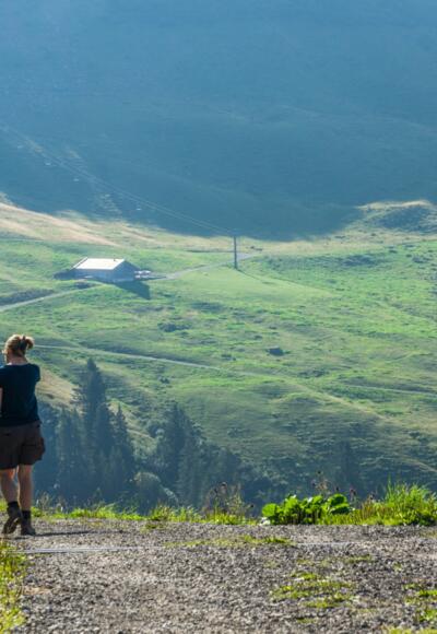 Blick auf das Alpgebiet der Breitenalpe