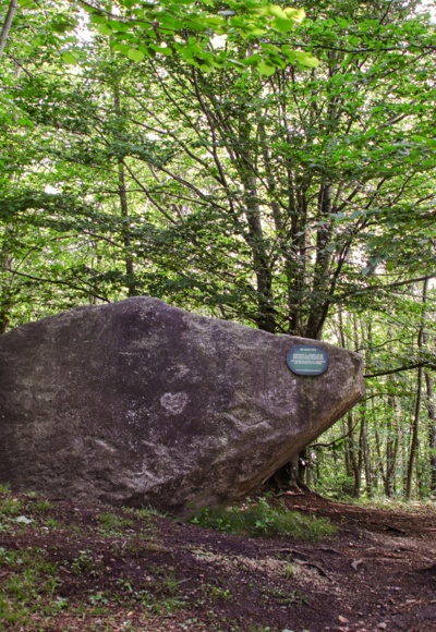 Naturdenkmal Grauerstein