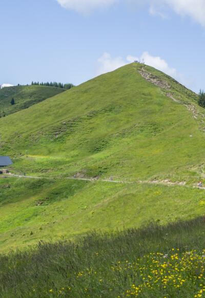 Blick auf Hohe Kugel und Kugelalpe