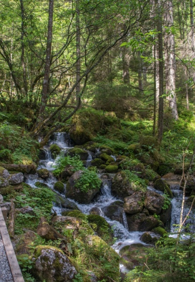 Wallfahrerweg entlang des Floderbachs nach Maria Kirchental