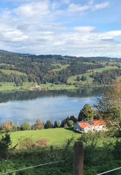 Blick auf den großen Alpsee