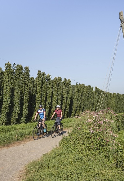 Hallertautour zwischen Nandlstadt und Rudelzhausen