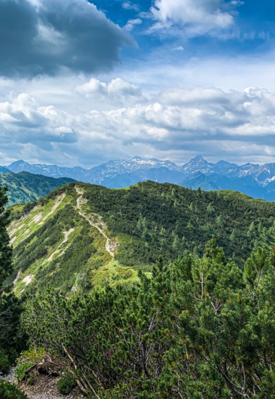 Blick zurück auf den Wanderweg