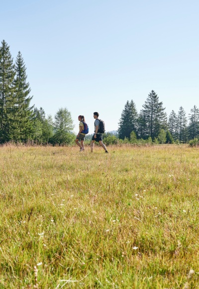 Wandern im Kojenmoos in Riefensberg