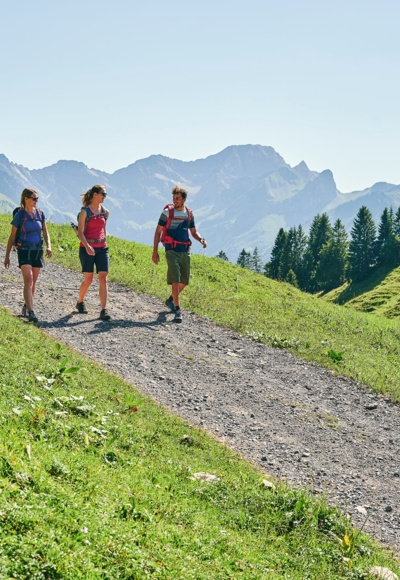 Wandern beim Stoggersattel in Au