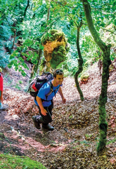 Der Weg liegt im Naturwaldreservat Beixenhart – ein Urwald, der sich weitgehend selbst überlassen wird.