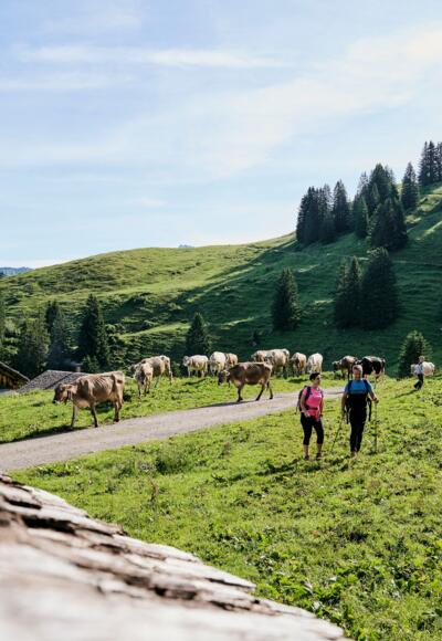 Auf dem Weg zur Alpe Steris