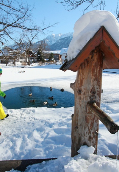 Der Dorfer Weiher