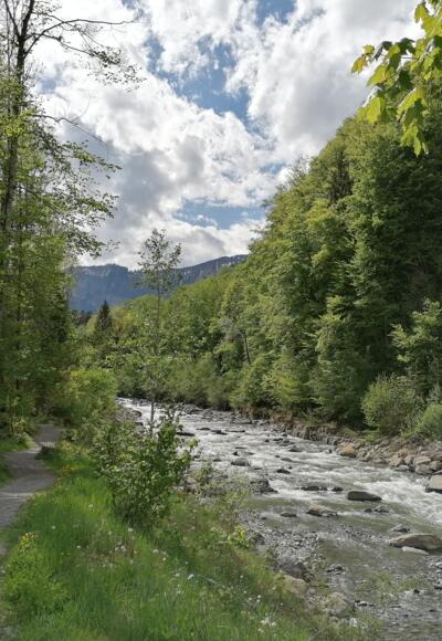 Dorfrundweg Mellau entlang dem Mellenbach