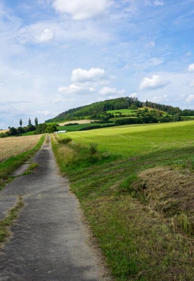 Wir wandern zwischen Ackerflächen mit Blick auf den Fechheimer Berg.