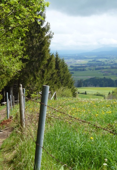 Im unteren Teil führt der Jägersteig panoramareich am Waldrand entlang.