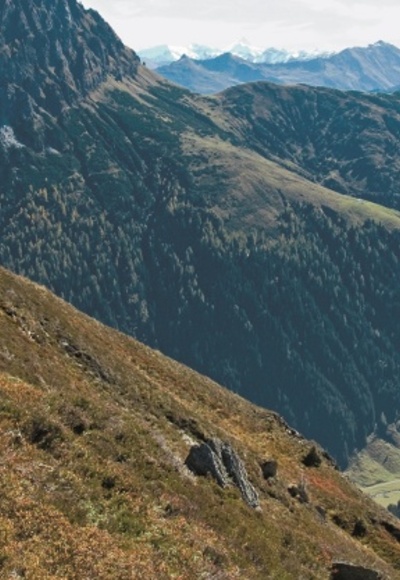 Gerstinger Joch