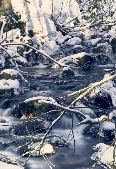 Ski- + Schneeschuhtour Rißloch