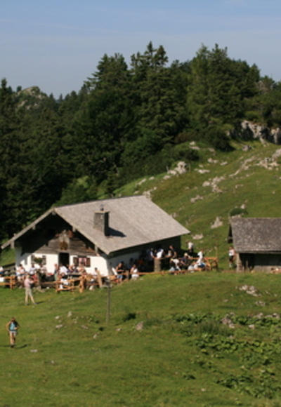 Inzell-Gamsknogel: Rast auf der Kohleralm und sich die Almbrotzeit schmecken lassen