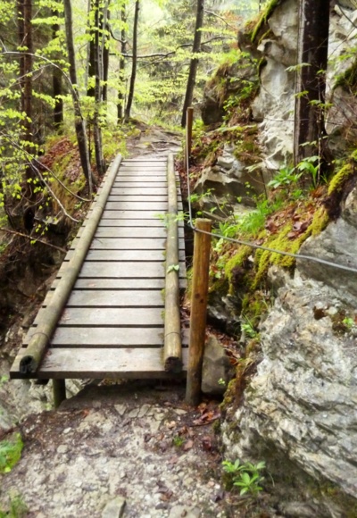 Auf dem schmalen Pfad durch die Ammerschlucht müssen zahlreiche schmale Stege überquert werden.