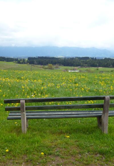 Wenig östlich von Bernbeuren bietet sich ein grandioses Bergpanorama.