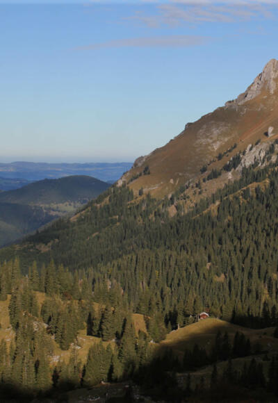 Blick Richtung Aggenstein
