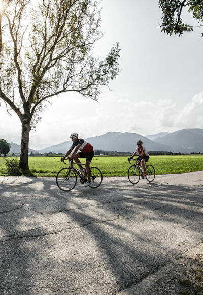 Rennrad Bike Rad