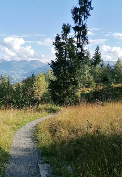 Going_Weg Nr9_zwischen Kathen und Astberg_Wilder Kaiser