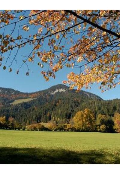 Söll_Pölven_Wilder Kaiser