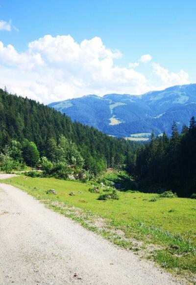 Scheffau_Kaiseralm-Runde_Wilder Kaiser
