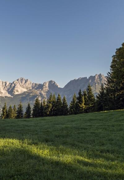 Landschaft Wilder Kaiser
