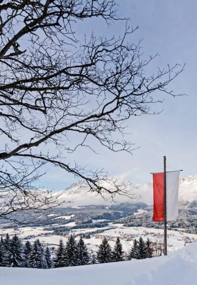 Going_Hollenauer Kreuz_Winterwanderweg_Wilder Kaiser