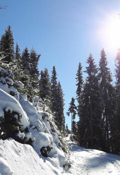Ellmau_Biedringer Platte_Winterwanderung_Wilder Kaiser