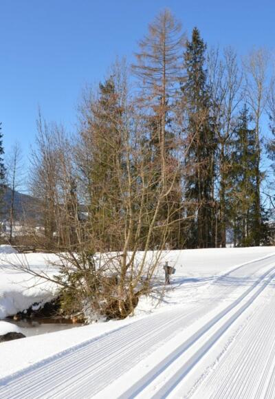 Going_Blattlloipe_Wilder Kaiser