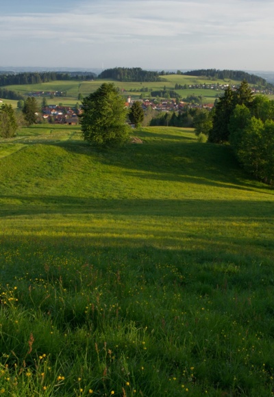 Martinshöhe
