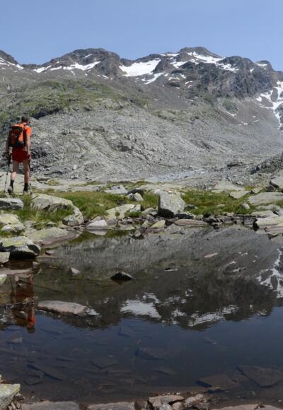Kleine Tümpel säumen den Weg zum Lenkstein, der später links oberhalb der Moränenhänge verläuft.