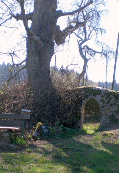 Klosterruine "Zum Heiligen Baum" in Arzlohe