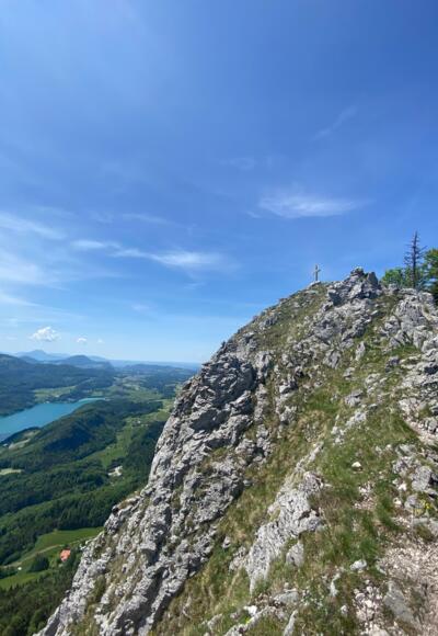 Frauenkopf
