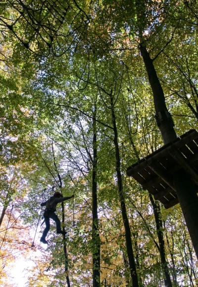 waldkletterpark-9521