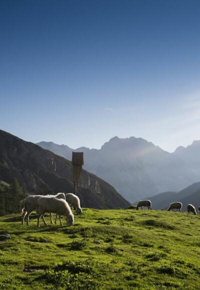 Solsteinhaus auf dem Erlsattel