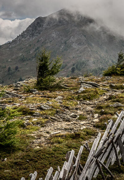 Entlang dem Holzkreuzzaun zum Ederplan. Blick zurück auf den Kamm.
