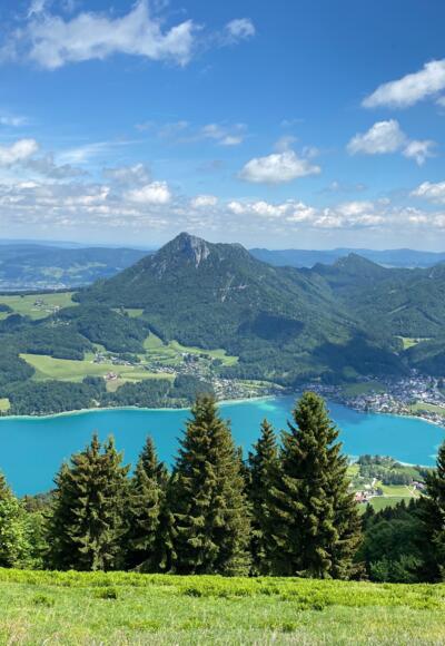 Blick auf den Fuschlsee und den Schober vom Gipfel