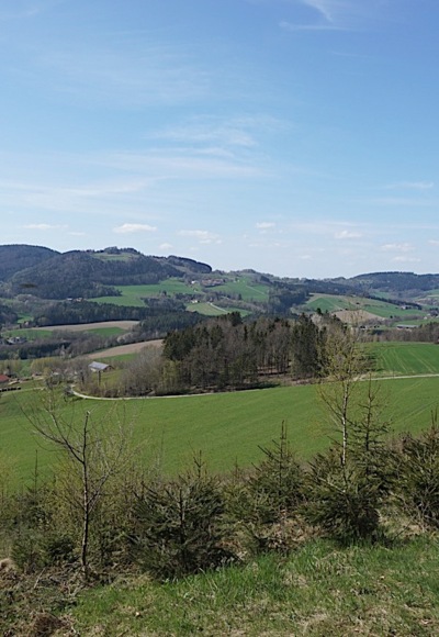 Blick zum Gallner über Weingarten