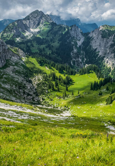 Blick Richtung Niederstraußberg