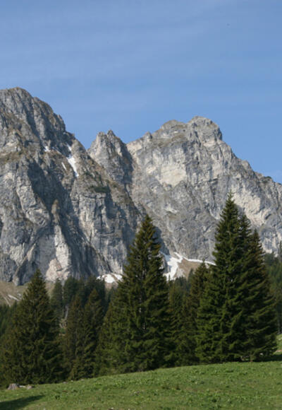Aggenstein von Osten