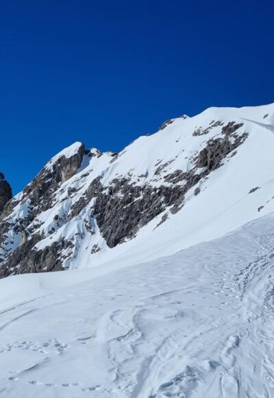 Steinschartenkopf