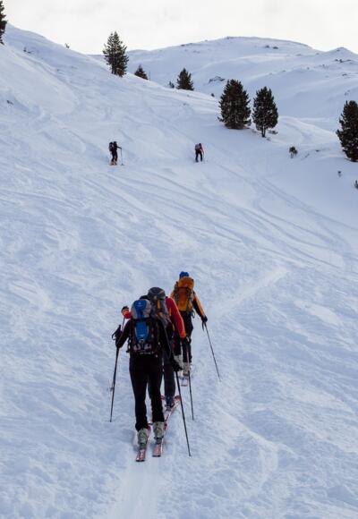 Aufstieg über die Wiesen der Viertelalm